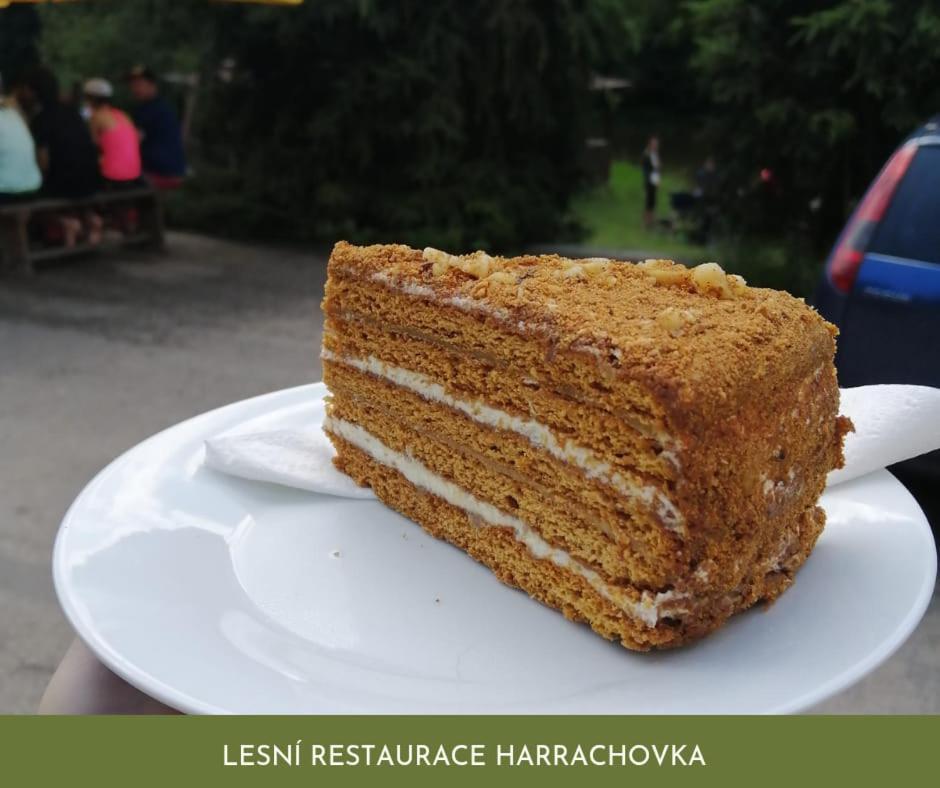 ホテル Lesni Restaurace Harrachovka ターボル エクステリア 写真